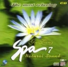 SPA MUSIC ชุด 7 กู่เจิง โดย อ.หลี่หยาง